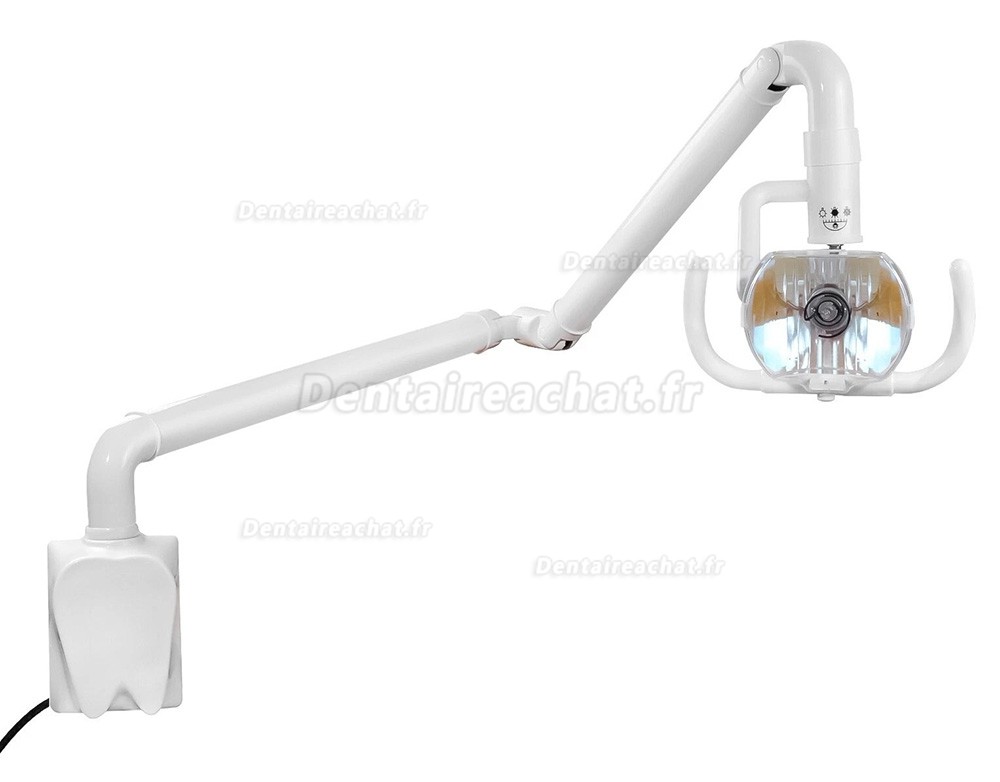 Lampe buccale &agrave; lumi&egrave;re froide murale dentaire 50 W, lampe d'examen dentaire